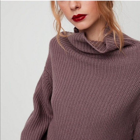 Aritzia Sweaters - Aritzia Wilfred Montpellier sweater